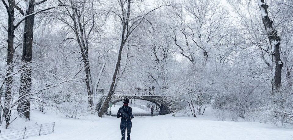 Photo+Rhetoric+-+To+Be+Determined+-+Winter+Running+Central+Park-1029