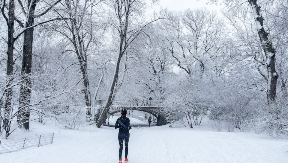 Photo+Rhetoric+-+To+Be+Determined+-+Winter+Running+Central+Park-1029